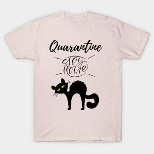 Quarantine and my Cat 2020 T-Shirt